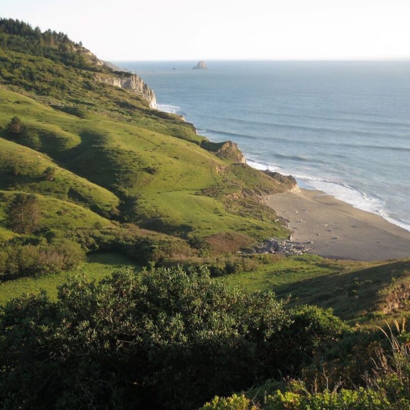 Lost Coast Headlands Louisa Roberts