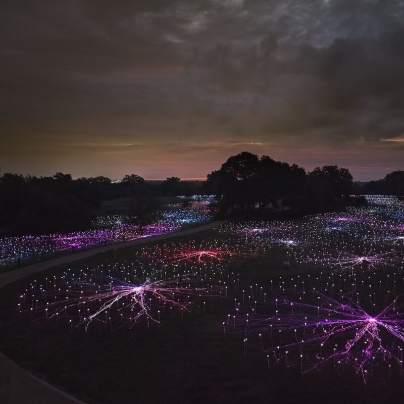 field-of-lights-austin-texas-800x800